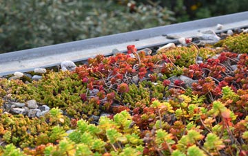 the cost of Woodcote Green green roof installation